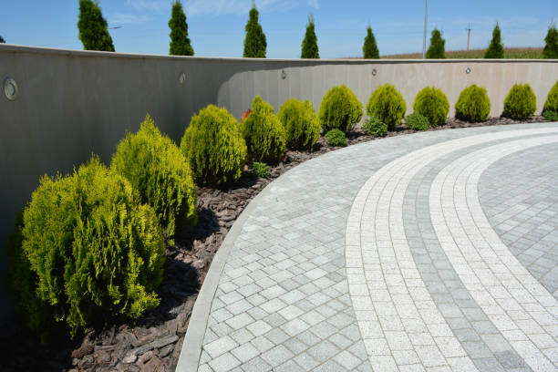 Best Best Driveway Pavers  in Penbrook, PA